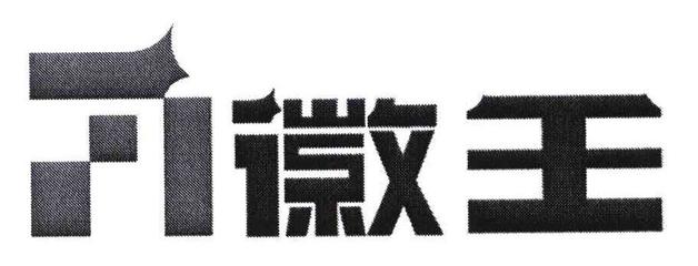 徽王商标在服装鞋帽领域的近似与竞品分析